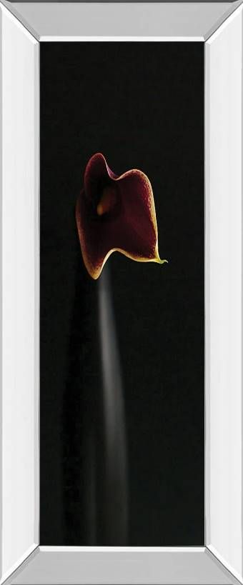 Classy Art Calla In Ebony by Steven Mitchell Mirror Framed Wall Art-0