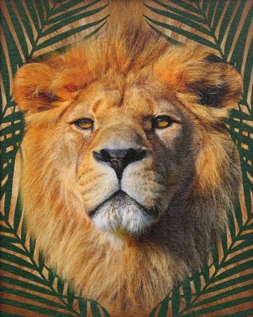 Stylecraft Roaming Wild IV Wall Art-1