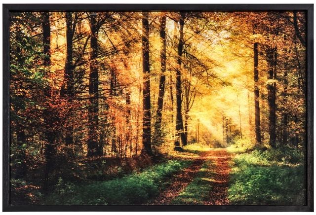 YHD The Road Traveled Wall Art-0