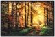 YHD The Road Traveled Wall Art-0