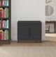Legends Home Nora Seal Skin 2-Door File Cabinet with Whiskey Base-1