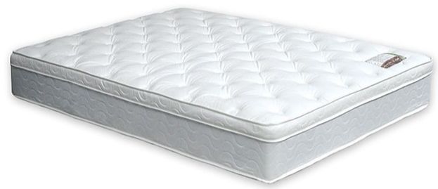 Furniture of America® Bird of Paradise Firm Euro Pillow Top Mattress-Queen-0