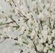 Stylecraft Fresh Pale Blooms II Beige/Green Wall Art-1