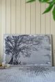 A & B Home Arboreal Cream/Charcoal Shelter Wall Art-1