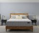 King Koil® Scott Living Hillcrest Trimline 15" Wrapped Coil Plush Euro Top California King Mattress-2
