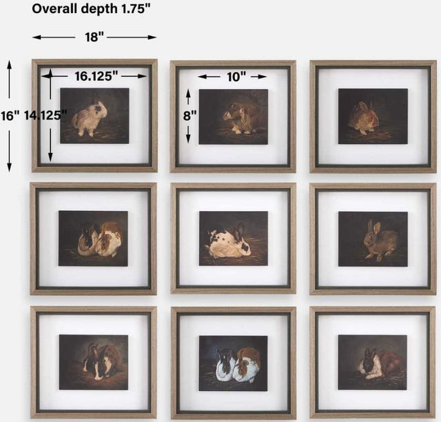 Uttermost® Marian Parsons 9-Piece Resting Bunny Framed Prints Set-3