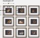 Uttermost® Marian Parsons 9-Piece Resting Bunny Framed Prints Set-3