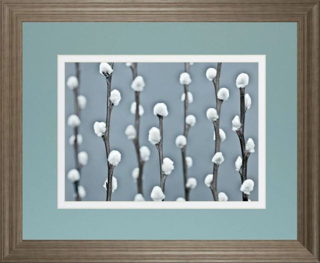 Classy Art Protected by Frank Assaf Wall Art-0