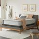 Sealy® Posturepedic® Garner II Innerspring Soft Faux Euro Top Queen Mattress-1