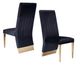 VIG Furniture Modrest Keisha 2-Piece Black Dining Chair Set-3