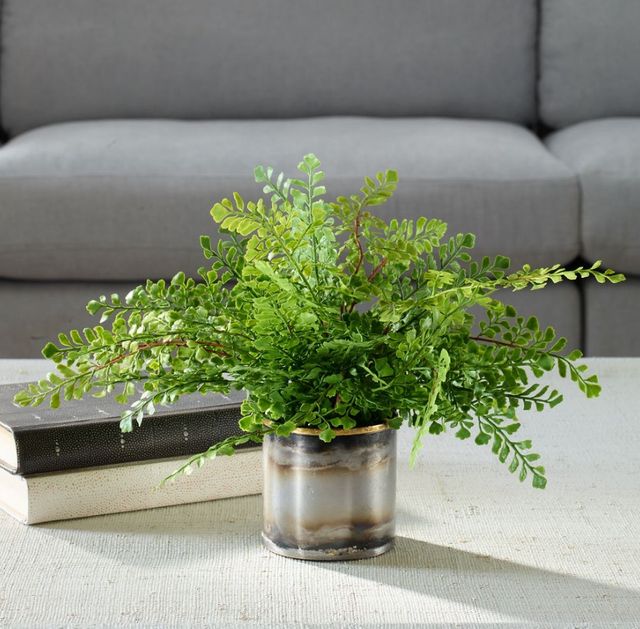 Uttermost® Maidenhair Fern Green Accent in Oxidized Container-1