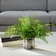 Uttermost® Maidenhair Fern Green Accent in Oxidized Container-1