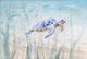 Stylecraft Undersea Turtle Wall Art-1