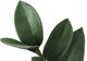 Monarch Specialties Inc. Green/Black 29" Artificial Potted Zz Tree-2