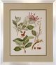 Stylecraft Brown/Green/Light Brown/Light Green/Off-White/Red Wall Art-0
