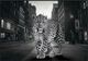 Classy Living Untamed Cheetah in the Streets Wall Art-0