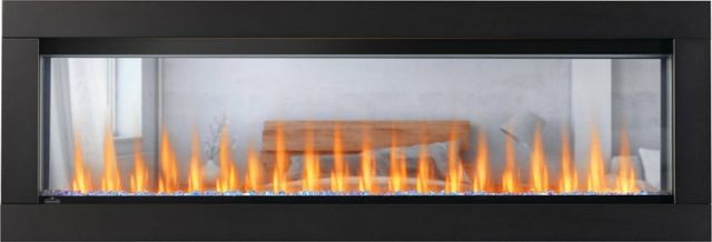 Napoleon® CLEARion™ Elite 60" Electric Fireplace Insert-1