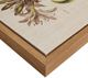 Olliix by Martha Stewart Green Set of 4 Herbal Botany Framed Linen Canvas-2