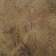 Renwil® Acacia Wall Art-5