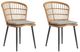 A & B Home 2-Piece Beige/Gray Rattan Outddor Patio Furniture Dining Side Chair Set-0