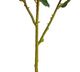 A & B Home Green/White Rose Spray-1