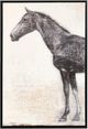 Stylecraft Norman Wyatt Rustic Equinel 2-piece Wall Art Set-1