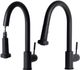 ZLINE Autograph Edition Matte Black Monet Pull Down Single Handle Kitchen Faucet-2