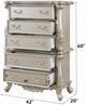ACME Furniture Bently Champagne Chest-3