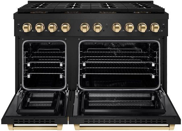 ZLINE Autograph Edition Paramount Series 48" Black Stainless Steel Pro Style Dual Fuel Range with Polished Gold Accents -1