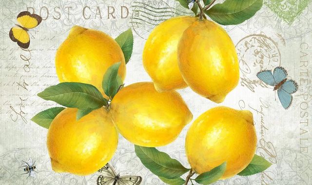 Classy Art Postcard Lemons by K. Donovan Wall Art-0
