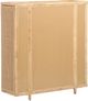 TOV Furniture Tarot Natural Rattan Bar Cabinet-5