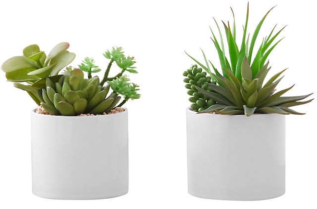 Monarch Specialties Inc. 2-Piece White 7" Tall Artificial Potted Succulent-0