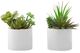 Monarch Specialties Inc. Assorted White 7" Tall Artificial Potted Succulent-0