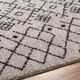 Surya Lykke Gray 4'x6' Area Rug-4