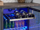 Zephyr Presrv™ 5.1 Cu. Ft. Stainless Steel Beverage Center-2