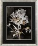 Stylecraft Moody Floral II Black/Brown/Gray/White Wall Art-0
