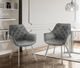 Mazin Furniture Ayami Chrome/Gray Dining Arm Chair -4