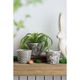 A & B Home 3-Piece Black Herb Pot Set-3