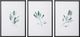Uttermost® Emma Scarvey 3-Piece Simple Sage Framed Prints Set-0