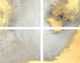 Classic Home Bygone 4-Piece Painting by Buddy Whitlock Set-1