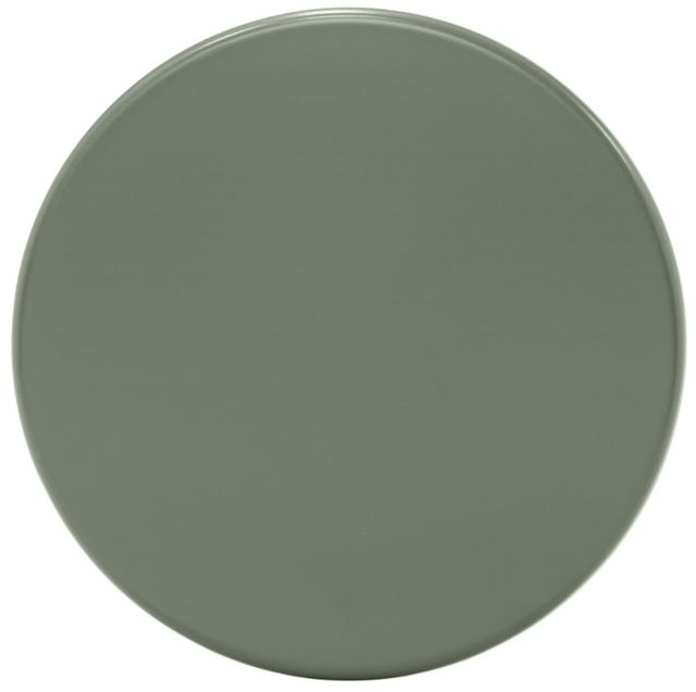 Meridian Furniture Anika Green End Table-2