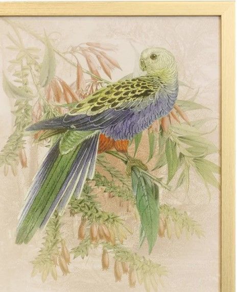 Stylecraft Tamara Day for Stylecraft Naturalist Archive II Wall Art-1