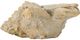 A & B Home Beige Medium Cement Seashell Planter-0