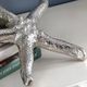 Crestview Collection Starfish 2-Piece Silver Set-3