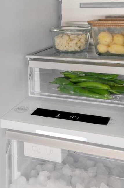 Bertazzoni 18" 8.6 Cu. Ft Panel Ready Column Freezer-3