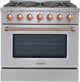 VEZENI Reminiscia 36" Stainless Steel Pro Style Gas Range-0