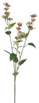 A & B Home Red Hypericum Stem-0