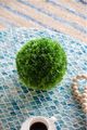 A & B Home Green 7.5" Shorn Grass Ball-2