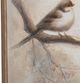 Crestview Collection Feathered Friends Wall Art-3