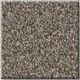 Shaw® Floors Pet Perfect Plus Artistic Fusion I Cashmere Carpet-0